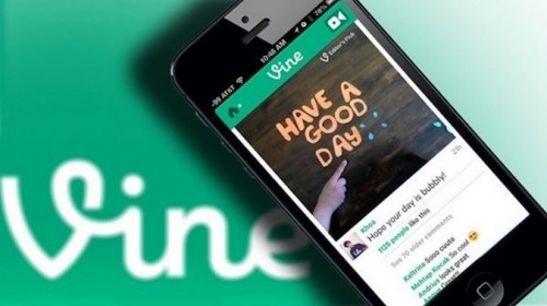 vine